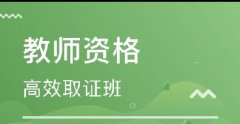 2020年10月31日河南中小学教师资格考试